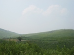 IMG_5403 (640x480).jpg