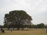 IMG_5784 (640x480).jpg