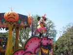 IMG_6350 (640x480).jpg