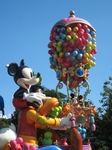 IMG_6380 (480x640).jpg