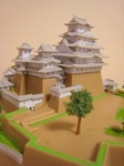IMG_6954 (480x640).jpg